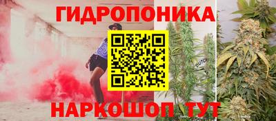 каннабис Аргун