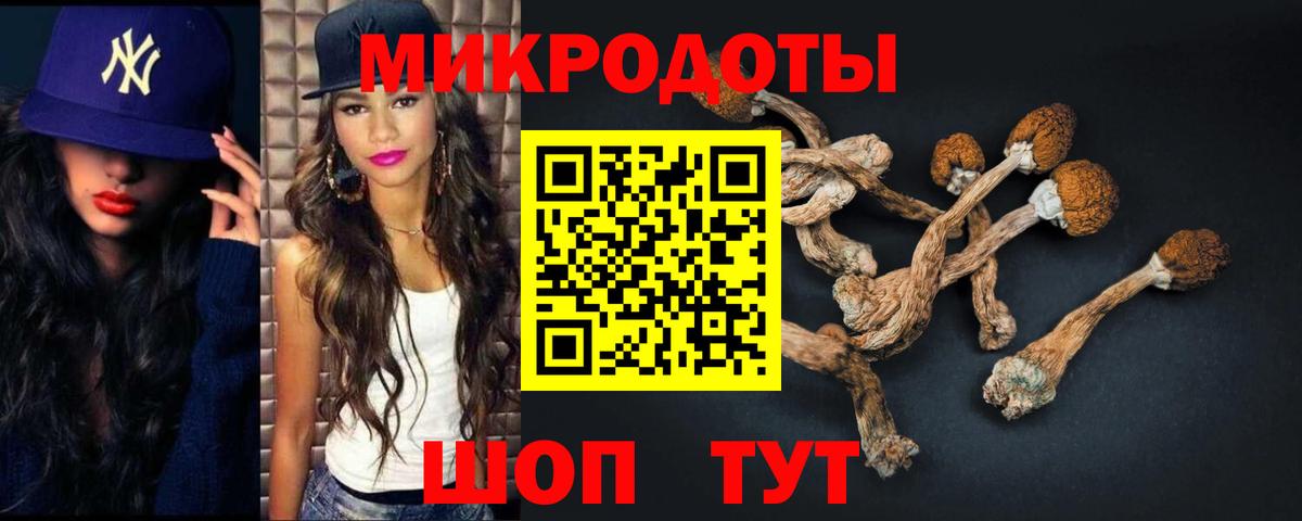 Псилоцибиновые грибы MAGIC MUSHROOMS  Вход с VPN  Батайск  Галлюциногенные грибы мицелий 